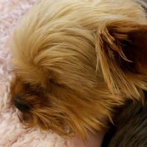 Meet your Posher, Vicky